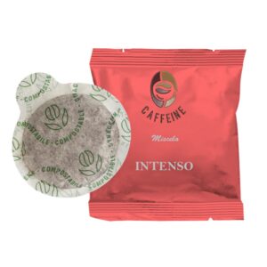 Miscela Intenso 100 CIALDE ESE