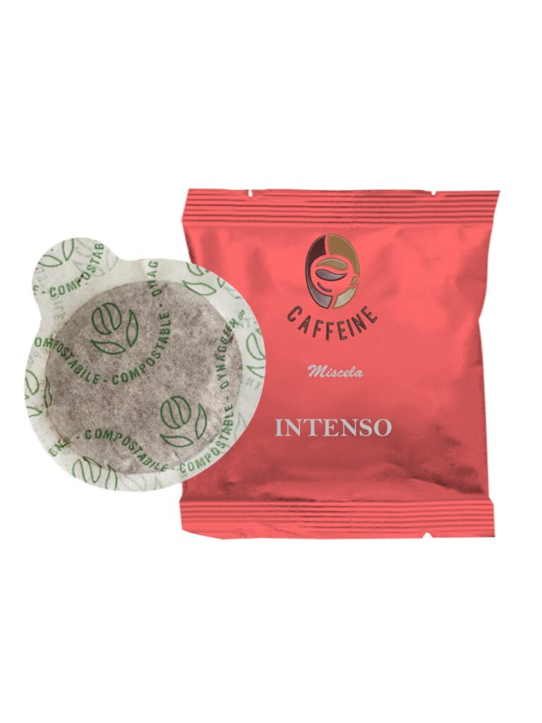 Miscela Intenso 100 CIALDE ESE